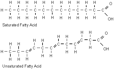 Unsaturated Fat Molecule 56
