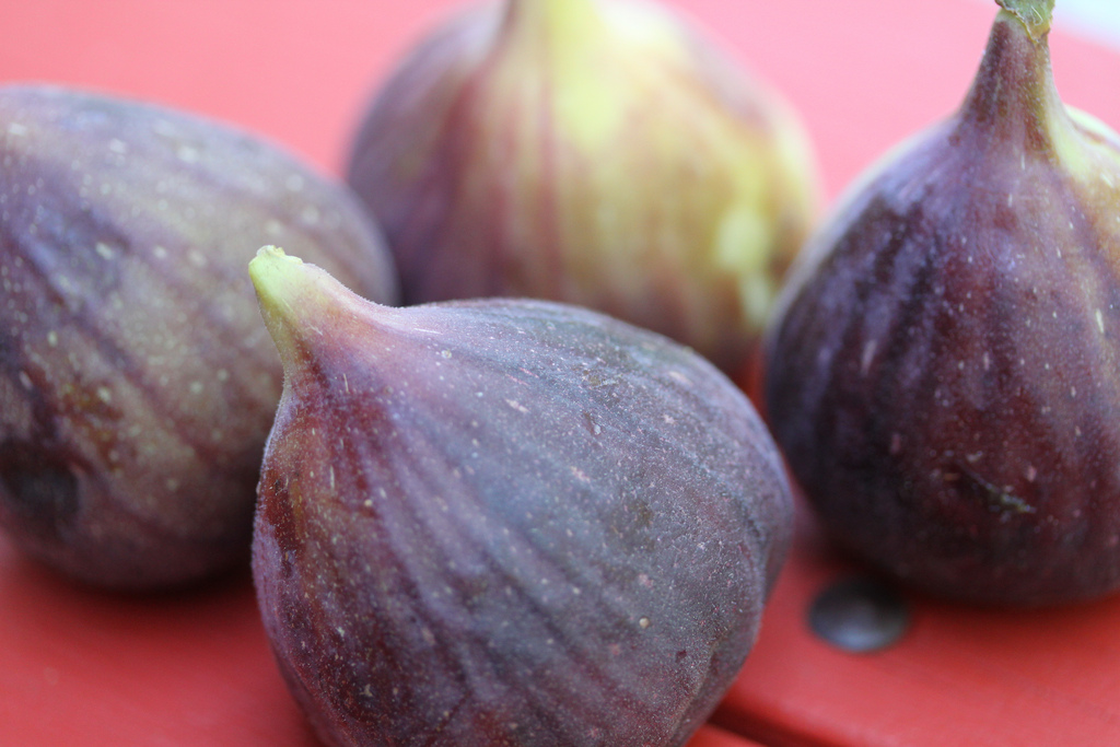 Figs in Cooking